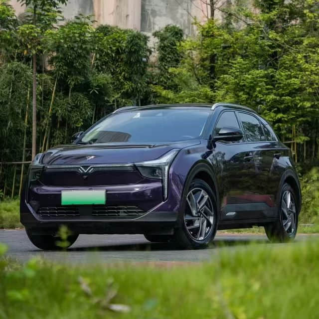 SUV Neta U400